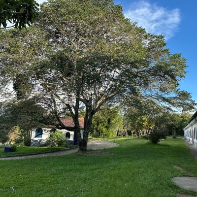 ÁREA EXTERNA 10