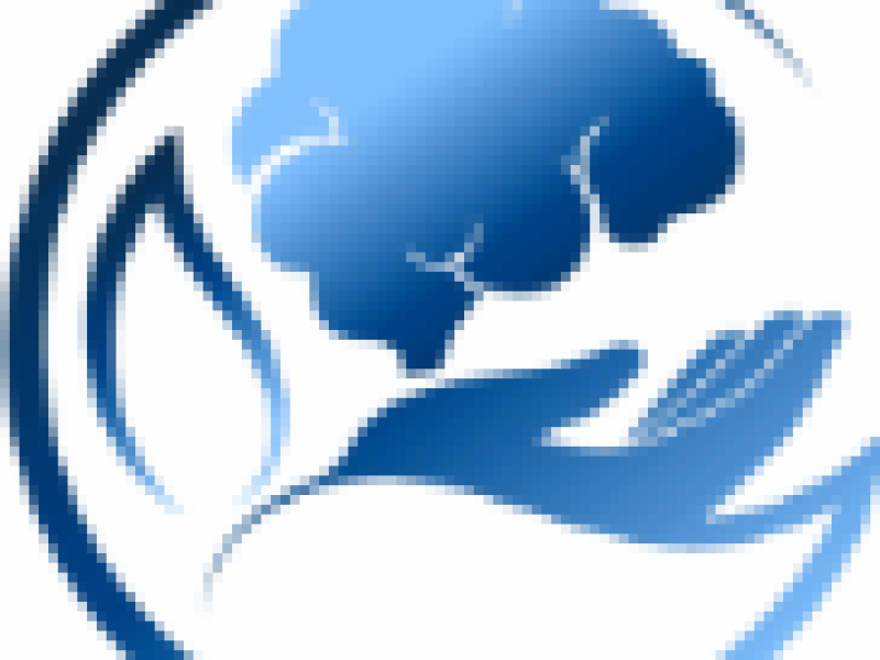 logo recortada