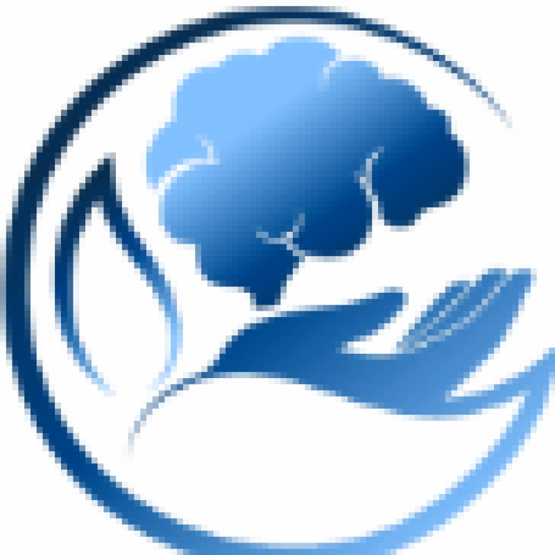 logo recortada